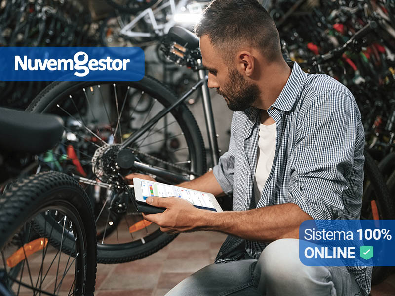 sistema 100-